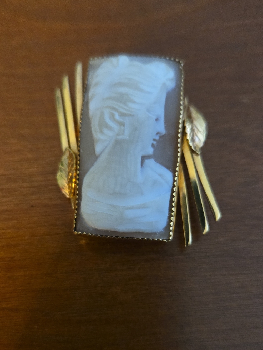 Vintage Catamore Cameo Brooch